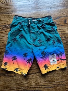 Molo Boy’s Teal to Yellow Gradient Palm Swim Trunks Size 11/12